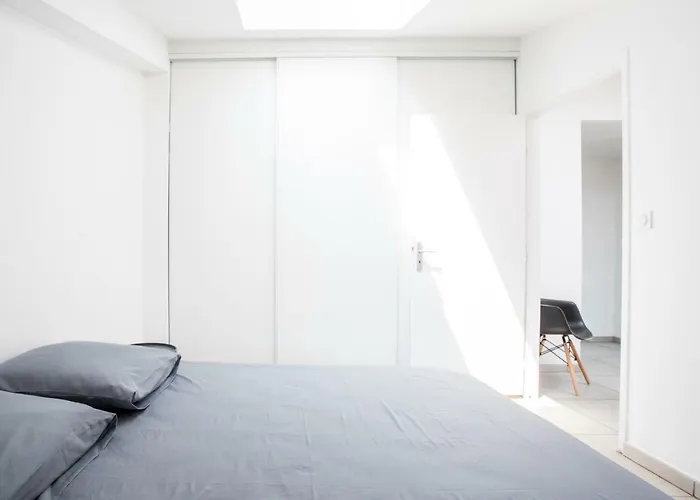 304 - Duplex Et Moderne - Jeanne D'arc, דירה טולוז